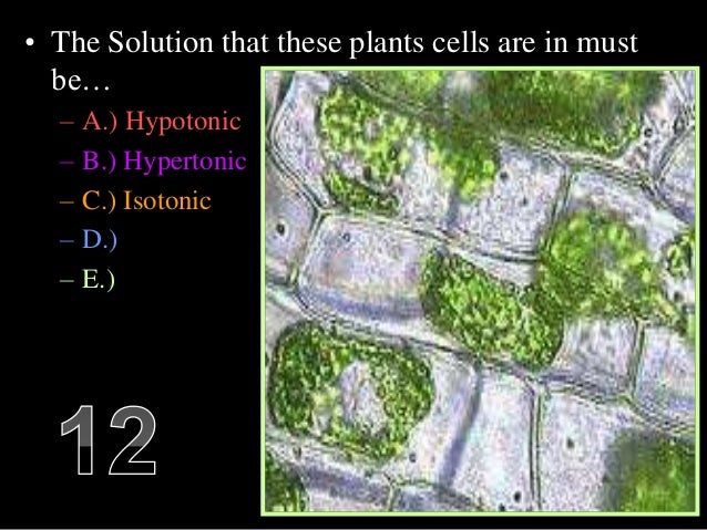Cell Transport, Osmosis, Diffusion, Active Transport ...