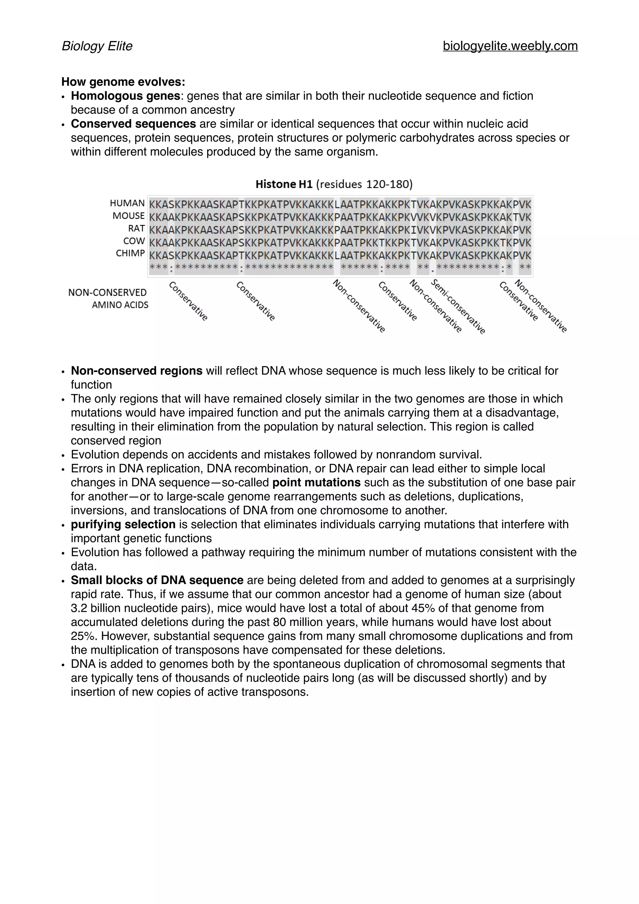 Biology Elite biologyelite.weebly.com
How genome evolves:
• Homologous genes: genes that are similar in both their nucleotide sequence and ﬁction
because of a common ancestry
• Conserved sequences are similar or identical sequences that occur within nucleic acid
sequences, protein sequences, protein structures or polymeric carbohydrates across species or
within different molecules produced by the same organism.
• Non-conserved regions will reﬂect DNA whose sequence is much less likely to be critical for
function
• The only regions that will have remained closely similar in the two genomes are those in which
mutations would have impaired function and put the animals carrying them at a disadvantage,
resulting in their elimination from the population by natural selection. This region is called
conserved region
• Evolution depends on accidents and mistakes followed by nonrandom survival.
• Errors in DNA replication, DNA recombination, or DNA repair can lead either to simple local
changes in DNA sequence—so-called point mutations such as the substitution of one base pair
for another—or to large-scale genome rearrangements such as deletions, duplications,
inversions, and translocations of DNA from one chromosome to another.
• purifying selection is selection that eliminates individuals carrying mutations that interfere with
important genetic functions
• Evolution has followed a pathway requiring the minimum number of mutations consistent with the
data.
• Small blocks of DNA sequence are being deleted from and added to genomes at a surprisingly
rapid rate. Thus, if we assume that our common ancestor had a genome of human size (about
3.2 billion nucleotide pairs), mice would have lost a total of about 45% of that genome from
accumulated deletions during the past 80 million years, while humans would have lost about
25%. However, substantial sequence gains from many small chromosome duplications and from
the multiplication of transposons have compensated for these deletions.
• DNA is added to genomes both by the spontaneous duplication of chromosomal segments that
are typically tens of thousands of nucleotide pairs long (as will be discussed shortly) and by
insertion of new copies of active transposons.
 
