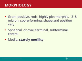 Motile Rods Part III - Chapter 27 - CLOSTRIDIUM.ppto