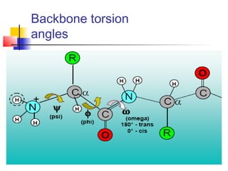 Backbone Slanting Part I : Introduction to Protein Structure | PPT