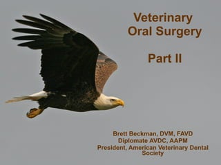 Veterinary  Oral Surgery Part II Brett Beckman, DVM, FAVD Diplomate AVDC, AAPM President, American Veterinary Dental Society 