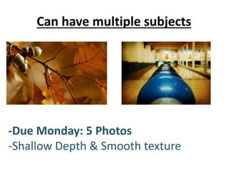 Can have multiple subjects
-Due Monday: 5 Photos
-Shallow Depth & Smooth texture
 