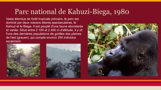 Parc national de Kahuzi-Biega, 1980
Vaste étendue de forêt tropicale primaire, le parc est
dominé par deux volcans éteints spectaculaires, le
Kahuzi et le Biega. Il est peuplé d'une faune abondante
et variée. Situé entre 2 100 et 2 400 m d'altitude, il y vit
l'une des dernières populations de gorilles des plaines
de l'est (graueri), qui compte environ 250 individus
seulement.

 