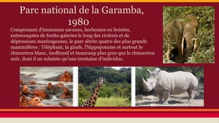 Parc national de la Garamba,
1980

Comprenant d'immenses savanes, herbeuses ou boisées,
entrecoupées de forêts-galeries le long des rivières et de
dépressions marécageuses, le parc abrite quatre des plus grands
mammifères : l'éléphant, la girafe, l'hippopotame et surtout le
rhinocéros blanc, inoffensif et beaucoup plus gros que le rhinocéros
noir, dont il ne subsiste qu'une trentaine d'individus.

 