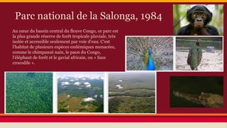 Parc national de la Salonga, 1984
Au cœur du bassin central du fleuve Congo, ce parc est
la plus grande réserve de forêt tropicale pluviale, très
isolée et accessible seulement par voie d'eau. C'est
l'habitat de plusieurs espèces endémiques menacées,
comme le chimpanzé nain, le paon du Congo,
l'éléphant de forêt et le gavial africain, ou « faux
crocodile ».

 