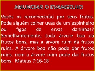 Vocês os reconhecerão por seus frutos.
Pode alguém colher uvas de um espinheiro
ou figos de ervas daninhas?
Semelhantemente, toda árvore boa dá
frutos bons, mas a árvore ruim dá frutos
ruins. A árvore boa não pode dar frutos
ruins, nem a árvore ruim pode dar frutos
bons. Mateus 7:16-18
 