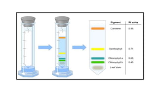 Partition Chromatography | PPTX