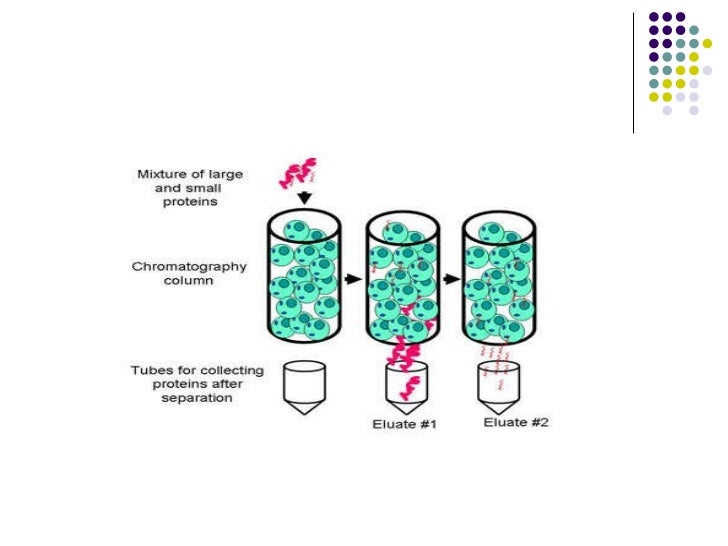 Partition chromatography 3