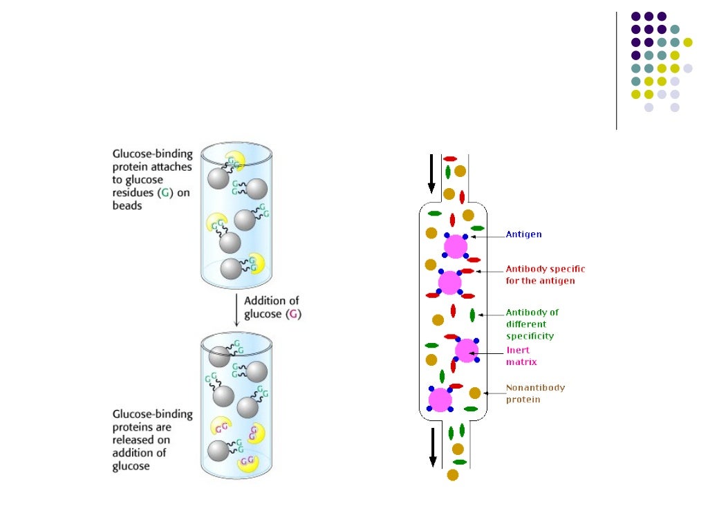 Partition chromatography 3