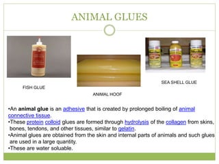 ANIMAL GLUES
ANIMAL HOOF
FISH GLUE
SEA SHELL GLUE
•An animal glue is an adhesive that is created by prolonged boiling of animal
connective tissue.
•These protein colloid glues are formed through hydrolysis of the collagen from skins,
bones, tendons, and other tissues, similar to gelatin.
•Animal glues are obtained from the skin and internal parts of animals and such glues
are used in a large quantity.
•These are water soluable.
 