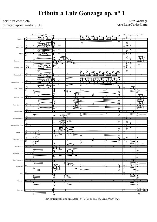 Tributo A Luiz Gonzaga Op N 1