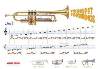 Pressed
Open
SSTTUUDDIIOO NNOOBBRREE
studionobre@hotmail.com
 