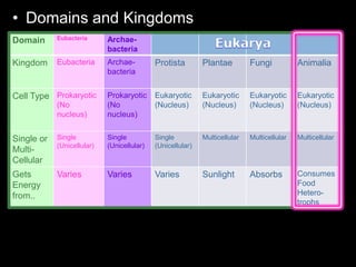 How Many Animal Domain Kingdom Animalia Biology Lesson PowerPoint, Taxonomy, Animal Phylums | PPTX
