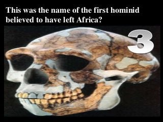 This was the name of the first hominid
believed to have left Africa?
Copyright © 2010 Ryan P. Murphy
 