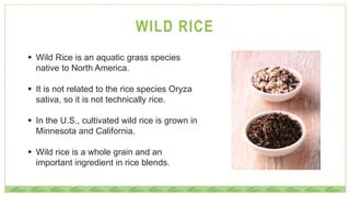 part_i_what_is_rice_ppt.pptx