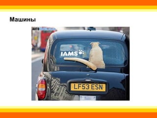 Машины 