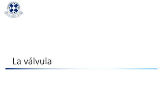 La válvula
 