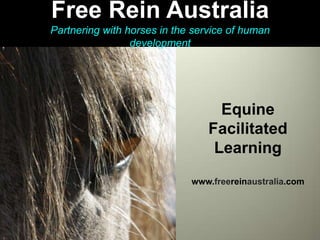 Free Rein Australia Partnering with horses in the service of human development Free Rein Australia Free Rein Australia Equine Facilitated Learning www.freereinaustralia.com 