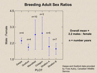 n=4 n=4 n=10 n=3 n=5 n=7 Overall mean =  2.2 males : female n = number years Breeding Adult Sex Ratios Gaspe and Gosford data provided by Yves Aubry, Canadian Wildlife Service 