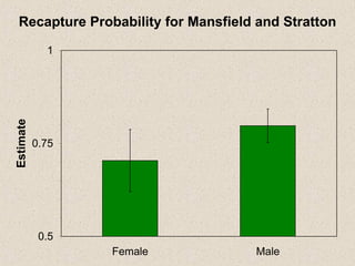 Recapture Probability for Mansfield and Stratton 