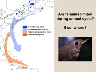 Are females limited during annual cycle? If so, where? 