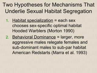Two Hypotheses for Mechanisms That Underlie Sexual Habitat Segregation Habitat specialization  = each sex chooses sex-specific optimal habitat Hooded Warblers (Morton 1990)  Behavioral Dominance  = larger, more aggressive males relegate females and sub-dominant males to sub-par habitat American Redstarts (Marra et al. 1993) 