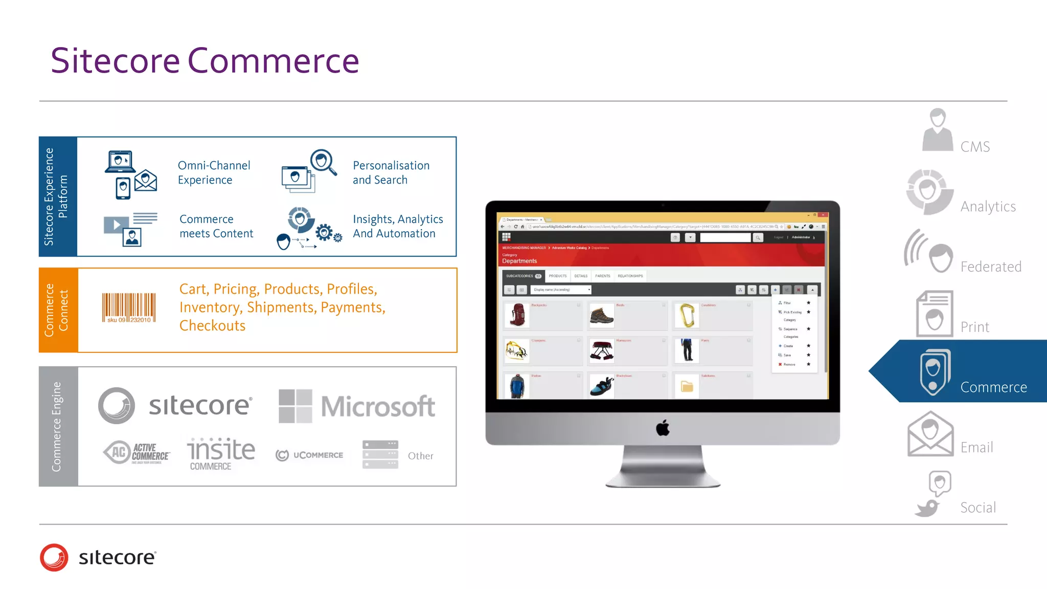 Analytics & Insights
 