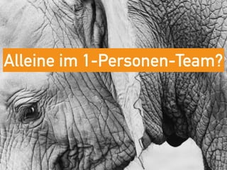Alleine im 1-Personen-Team?
 