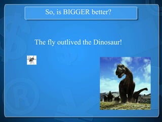 So, is BIGGER better?



The fly outlived the Dinosaur!
 