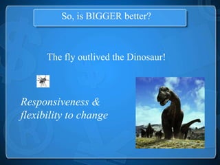 So, is BIGGER better?



      The fly outlived the Dinosaur!



Responsiveness &
flexibility to change
 