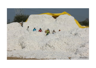 My	
  story	
  here	
  
 