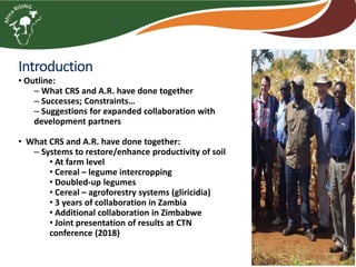 How to create and nurture effective partnerships