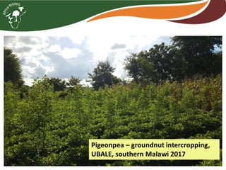 How to create and nurture effective partnerships