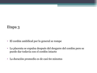 Etapa 3
• El cordón umbilical por lo general se rompe
• La placenta se expulsa después del desgarre del cordón pero se
puede dar todavía con el cordón intacto
• La duración promedio es de casi 60 minutos
 