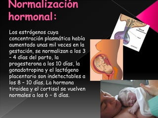 Normalización hormonal: <br />Los estrógenos cuya concentración plasmática había aumentado unas mil veces en la gestación,...