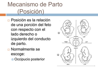 Mecanismo de Parto
  (Posición)
   Posición es la relación
    de una porción del feto
    con respecto con el
    lado d...
