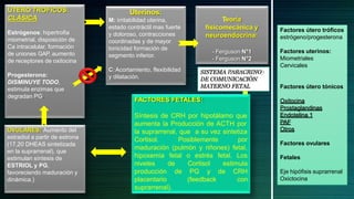 Factores útero tróficos
estrógeno/progesterona
Factores uterinos:
Miometriales
Cervicales
Factores útero tónicos
Oxitocina
Prostaglandinas
Endotelina 1
PAF
Otros
Factores ovulares
Fetales
Eje hipófisis suprarrenal
Oxictocina
Uterinos:
M: irritabilidad uterina,
estado contráctil mas fuerte
y doloroso, contracciones
coordinadas y de mayor
tonicidad formación de
segmento inferior.
C: Acortamiento, flexibilidad
y dilatación.
Teoría
fisicomecánica y
neuroendocrina:
- Ferguson N°1
- Ferguson N°2
ÚTERO TROFICOS:
CLÁSICA
Estrógenos: hipertrofia
miometrial, disposición de
Ca intracelular, formación
de uniones GAP, aumento
de receptores de oxitocina
Progesterona:
DISMINUYE TODO,
estimula enzimas que
degradan PG.
OVULARES: Aumento del
estradiol a partir de estrona
(17,20 DHEAS sintetizada
en la suprarrenal), que
estimulan síntesis de
ESTRIOL y PG,
favoreciendo maduración y
dinámica.)
FACTORES FETALES:
Síntesis de CRH por hipotálamo que
aumenta la Producción de ACTH por
la suprarrenal, que a su vez sintetiza
Cortisol. Posiblemente por
maduración (pulmón y riñones) fetal,
hipoxemia fetal o estrés fetal. Los
niveles
producción
placentario (feedback
de Cortisol estimula
de PG y de CRH
con
suprarrenal).
SISTEMA PARACRINO
DE COMUNICACIÓN
MATERNO FETAL
 