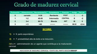 Puntuación Dilatación(cm) Borramiento(%) Consistencia Posición Hodge De-Lee
0 cerrado 0-30 Renitente POST I -3
1 1-2 40-50 Intermedia CENTRAL II -2
2 3-4 60-70 Blanda ANT III 0
3 > 5 >80 --------- --------- III-VI +2+4
SCORE:
1) > 9: parto espontáneo
2) > 7: probabilidad alta de éxito a la inducción.
3)6 o < : administración de un agente que contribuya a la maduración
cervical.
INDICADOR DE MADUREZ CERVICALY ÉXITO DEL PARTO SEGÚN BISHOP
 