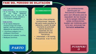 • FASE LATENTE:
• Es la mas larga. Se caracteriza
por una lenta dilatación.
Empieza con el inicio de la
contracción <20 en nulipara y
<14 horas en multiparas.
• FASE ACTIVA:
• Es de rápida dilatación.
empieza luego de la fase
latente y termina cuando la
dilatación es máxima(10cm)
• 1,2cm/hora nulipara y en
multipara 2,0cm/hora
• Descenso en nulipara: 1cm/hra
• Multipara 2cm/hora
PARTO
• las dos a tres primeras
contracciones después
del parto suele expulsar la
placenta, a partir de este
momento la actividad
uterina decrece a
expensas de una
disminución de la
frecuencia.
• Intensidad: > 50 mmHg
• Frecuencia: 6 en 10 min
ALUMBRAMIENTO
• Las contracciones
disminuyen en
frecuencia e intensidad
pero son eficaces para la
expulsión de los loquios
y de la sangre retenida,
estas contracciones
suelen ser indoloras pero
si lo son, provocan los
llamados entuertos.
PUERPERI
O
FASE DEL PERIODO DE DILATACIÓN
 