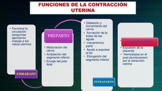 FUNCIONES DE LA CONTRACCIÓN
UTERINA
• Favorece la
circulación
sanguínea
ejerciendo
masaje a los
vasos uterinos
EMBARAZO
• Maduración del
cérvix
• Ampliación del
segmento inferior
• Encaje del polo
fetal
PREPARTO
• Dilatación y
borramiento del
cérvix
• formación de la
bolsa de las
aguas
• mecanismos
parto
• Ayuda a expulsar
el bb
• Elongación del
segmento inferior
INTRAPARTO
• Desprendimiento de
la placenta.
• Expulsión de la
placenta
• Hemostasia en el
post alumbramient
por la retracción
uterina
ALUMBRAMIENTO
 