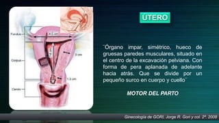 ÚTERO
¨Órgano impar, simétrico, hueco de
gruesas paredes musculares, situado en
el centro de la excavación pelviana. Con
forma de pera aplanada de adelante
hacia atrás. Que se divide por un
pequeño surco en cuerpo y cuello¨
MOTOR DEL PARTO
Ginecología de GORI, Jorge R. Gori y col. 2ª. 2008
 