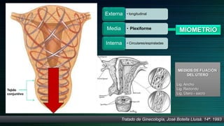 • longitudinal
Externa
• Plexiforme
Media
• Circulares/espiraladas
Interna
MIOMETRIO
Tratado de Ginecología, José Botella Lluisá. 14ª. 1993
MEDIOS DE FIJACIÓN
DEL ÚTERO
Lig. Ancho
Lig. Redondo
Lig. Útero - sacro
Tejido
conjuntivo
 
