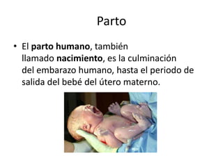 Parto
• El parto humano, también
llamado nacimiento, es la culminación
del embarazo humano, hasta el periodo de
salida del bebé del útero materno.
 