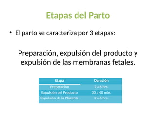 Etapas del Parto
• El parto se caracteriza por 3 etapas:
Preparación, expulsión del producto y
expulsión de las membranas fetales.
Etapa Duración
Preparación 2 a 6 hrs.
Expulsión del Producto 30 a 40 min.
Expulsión de la Placenta 2 a 6 hrs.
 