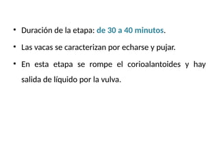 • Duración de la etapa: de 30 a 40 minutos.
• Las vacas se caracterizan por echarse y pujar.
• En esta etapa se rompe el corioalantoides y hay
salida de líquido por la vulva.
 