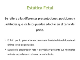 Estática Fetal
Se refiere a las diferentes presentaciones, posiciones y
actitudes que los fetos pueden adoptar en el canal de
parto.
• El feto por lo general se encuentra en decúbito lateral durante el
último tercio de gestación.
• Durante la preparación rota ¼ de vuelta y presenta sus miembros
anteriores y cabeza en el canal de nacimiento.
 