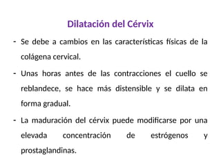 Dilatación del Cérvix
- Se debe a cambios en las características físicas de la
colágena cervical.
- Unas horas antes de las contracciones el cuello se
reblandece, se hace más distensible y se dilata en
forma gradual.
- La maduración del cérvix puede modificarse por una
elevada concentración de estrógenos y
prostaglandinas.
 