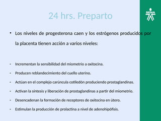 24 hrs. Preparto
• Los niveles de progesterona caen y los estrógenos producidos por
la placenta tienen acción a varios niveles:
- Incrementan la sensibilidad del miometrio a oxitocina.
- Producen reblandecimiento del cuello uterino.
- Actúan en el complejo carúncula cotiledón produciendo prostaglandinas.
- Activan la síntesis y liberación de prostaglandinas a partir del miometrio.
- Desencadenan la formación de receptores de oxitocina en útero.
- Estimulan la producción de prolactina a nivel de adenohipófisis.
 