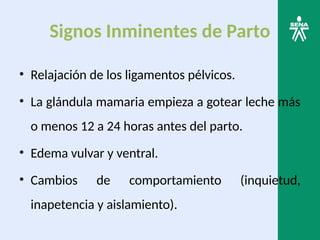 Signos Inminentes de Parto
• Relajación de los ligamentos pélvicos.
• La glándula mamaria empieza a gotear leche más
o menos 12 a 24 horas antes del parto.
• Edema vulvar y ventral.
• Cambios de comportamiento (inquietud,
inapetencia y aislamiento).
 