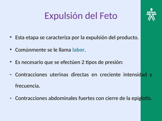 Expulsión del Feto
• Esta etapa se caracteriza por la expulsión del producto.
• Comúnmente se le llama labor.
• Es necesario que se efectúen 2 tipos de presión:
- Contracciones uterinas directas en creciente intensidad y
frecuencia.
- Contracciones abdominales fuertes con cierre de la epiglotis.
 